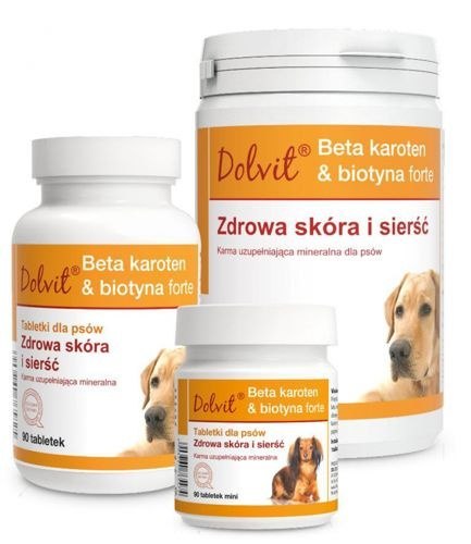 Dolfos Dolvit Beta Karoten & Biotyna Forte Mini 90 Tabletek Dolfos