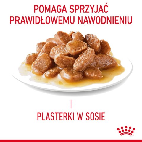 ROYAL CANIN Intense Beauty Gravy 12x85g Royal Canin