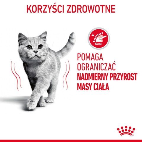 ROYAL CANIN Light Weight Care W Galaretce 12x85g Royal Canin