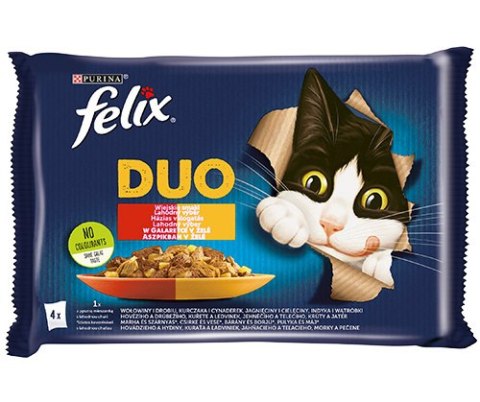 Felix Duo Wiejskie Smaki W Galaretce 4x85g Felix