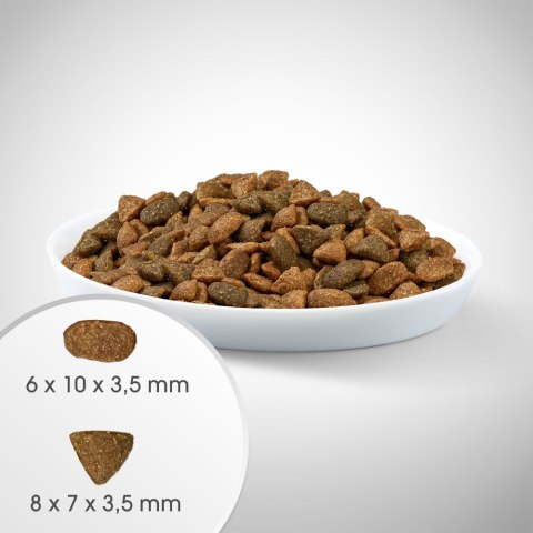 IttenFit Junior Kurczak 7 kg - pełnoporcjowa sucha karma dla kociąt Perfect Fit