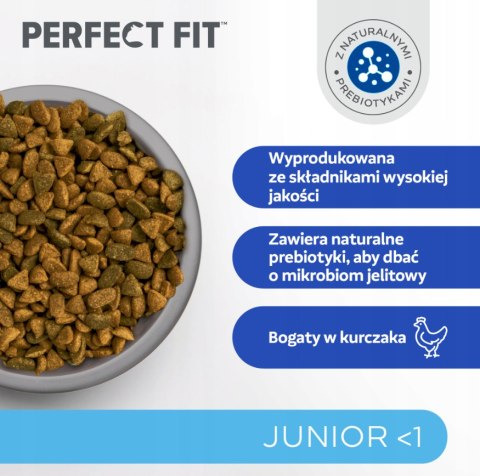 IttenFit Junior Kurczak 7 kg - pełnoporcjowa sucha karma dla kociąt Perfect Fit