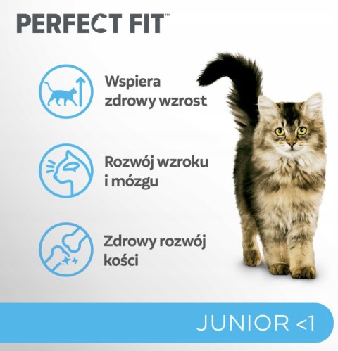 IttenFit Junior Kurczak 7 kg - pełnoporcjowa sucha karma dla kociąt Perfect Fit