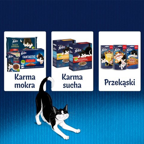Felix Sensations Jellies Karma Dla Kota Smaki Rybne W Galaretce 4x85g Felix
