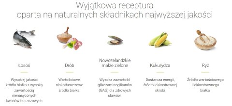 Josera Festival Karma Dla Dorosłych Psów Średnich I Dużych Ras 12,5kg Josera