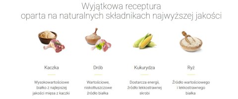Josera SensiPlus Karma Bezglutenowa Z Kaczką Dla Psów Dorosłych 12,5kg Josera