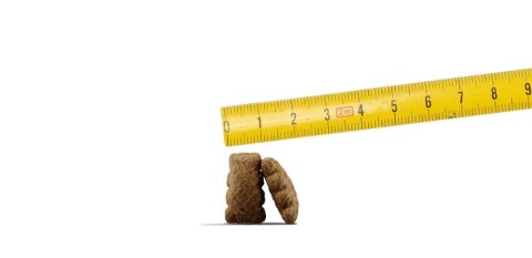 Josera SensiPlus Karma Bezglutenowa Z Kaczką Dla Psów Dorosłych 12,5kg Josera