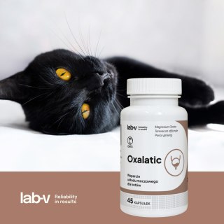 Lab-v Oxalatic Wsparcie Dla Kotów Przy Tworzeniu Się Kamieni Oksalatowych 45 Kapsułek LAB-V