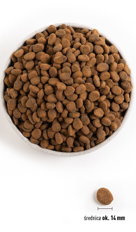 ORIJEN Regional Red Dog 2kg Orijen