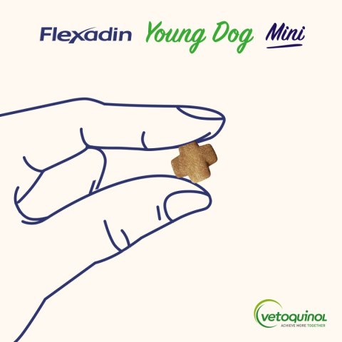 VETOQUINOL Flexadin Young Dog Mini 60 kąsków Vetoquinol