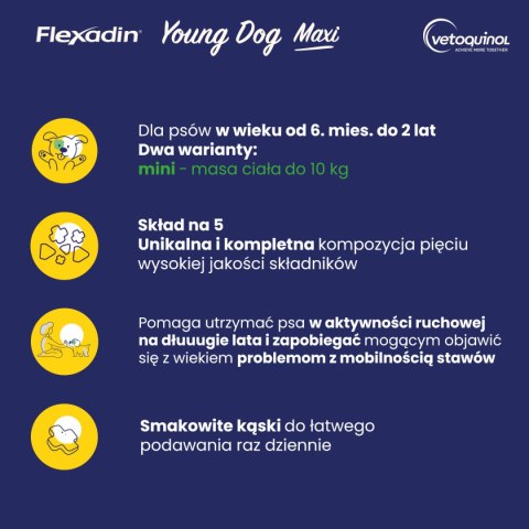 VETOQUINOL Flexadin Young Dog Mini 60 kąsków Vetoquinol