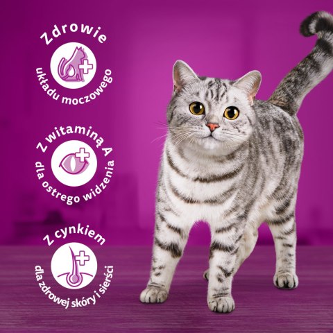 Whiskas Adult Karma Sucha Dla Kotów Kurczak 1,4kg Whiskas