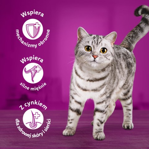 Whiskas Adult Klasyczne Posiłki W Sosie Dla Kota 40x85g Whiskas