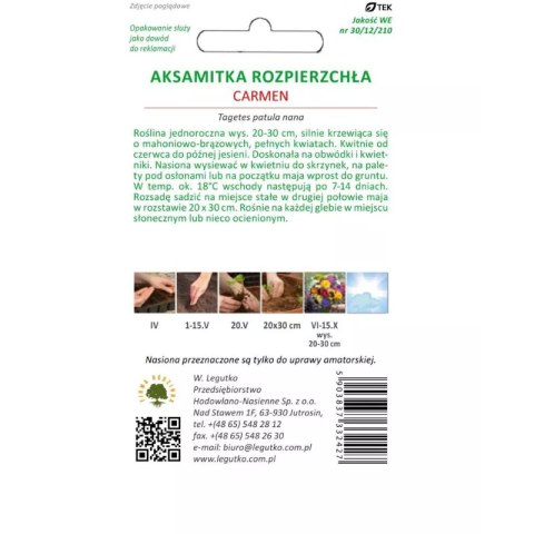 Aksamitka rozpierzchła Carmen mahoniowo-czerwona 1.50g W.Legutko