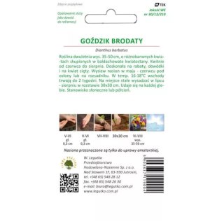 Goździk brodaty mieszankowy - kwiaty pojedyncze W.Legutko