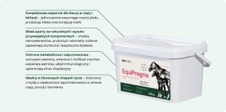Lab-v EquiPregna Mieszanka paszowa uzupełniająca dla klaczy ciężarnych i karmiących, wspierająca przebieg ciąży, rozwój płodu or LAB-V