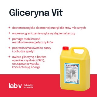 Lab-v Gliceryna Vit - Mieszanka Paszowa Uzupełniająca Dla Krów Mlecznych Zmniejszająca Ryzyko Wystąpienia Ketozy 5kg LAB-V