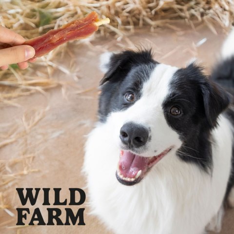 WILD FARM Filet Z Piersi Kaczki Na Patyku Przysmak Dla Psa 500G Wild Farm