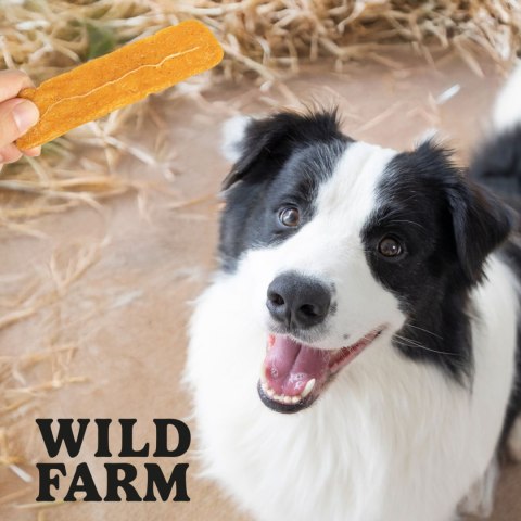 WILD FARM Filety Multiwitaminowe Z Batatów Przysmak Dla Psa 500G Wild Farm