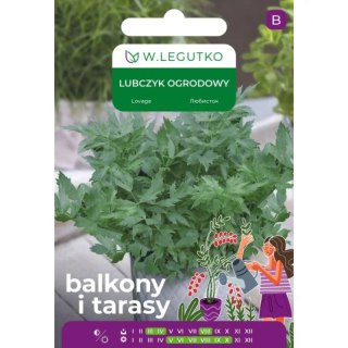 Nasiona lubczyku ogrodowego do ogrodu W.Legutko