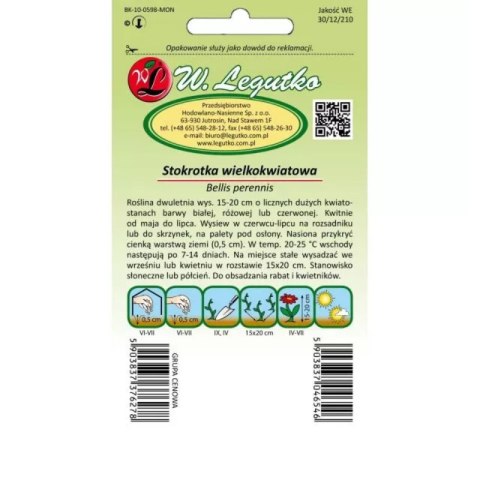 Stokrotka pospolita wielkokwiatowa - mieszanka W.Legutko