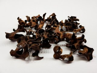Tantora Black Curl 10g kryjówka krewetki