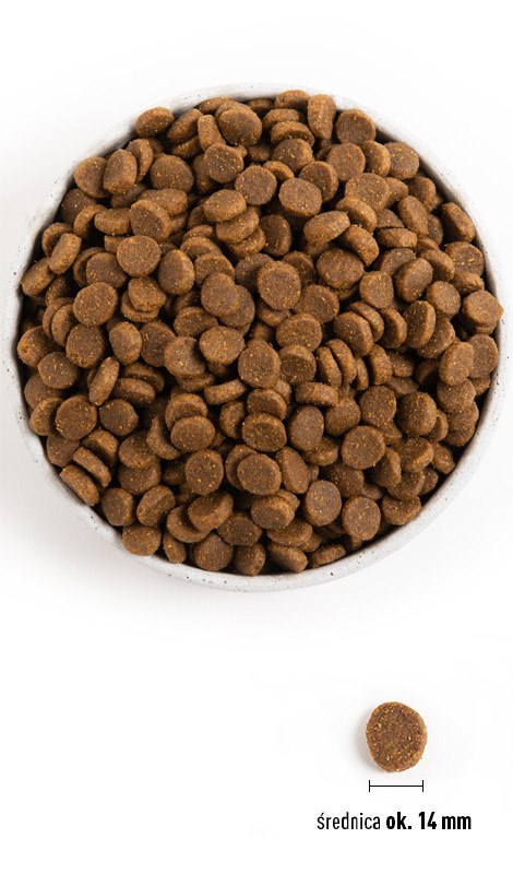 ACANA Adult Dog 2kg Acana