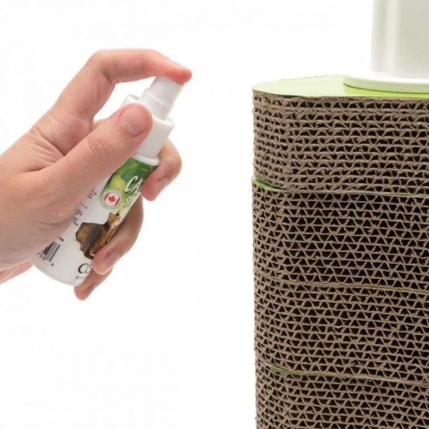 Catit Naturalna Kocimiętka Spray 60Ml Catit