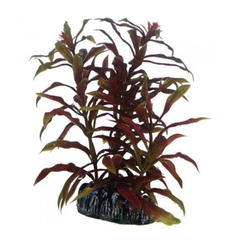 HOBBY Sztuczna roślina akwariowa Nesaea, 13 cm (51570)