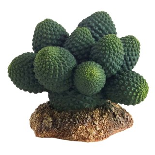 HOBBY Kaktus Atacamma 7 cm dekoracja do terrarium (37018)
