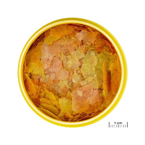JBL PRONOVO COLOR FLAKES M 250ML pokarm dla rybek akwariowych (31139)