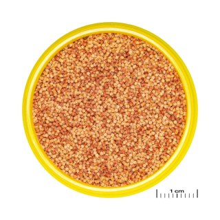 JBL PRONOVO COLOR GRANO S 100ML CLICK pokarm dla rybek akwariowych (31141)