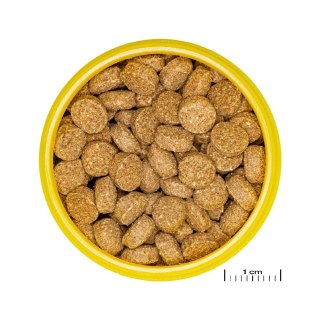 JBL PRONOVO CRABS WAFER M 100ML pokarm dla rybek akwariowych (31565)