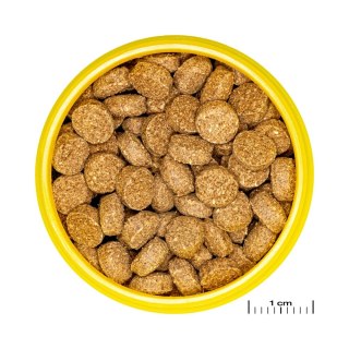 JBL PRONOVO CRABS WAFER M 250ML pokarm dla rybek akwariowych (31567)