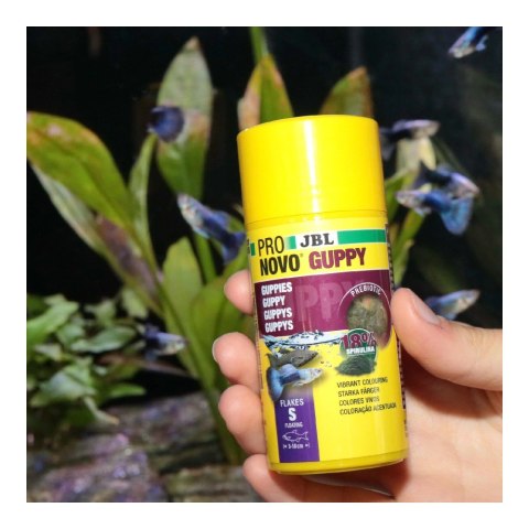 JBL PRONOVO GUPPY FLAKES S 100ML pokarm dla rybek akwariowych (31158)