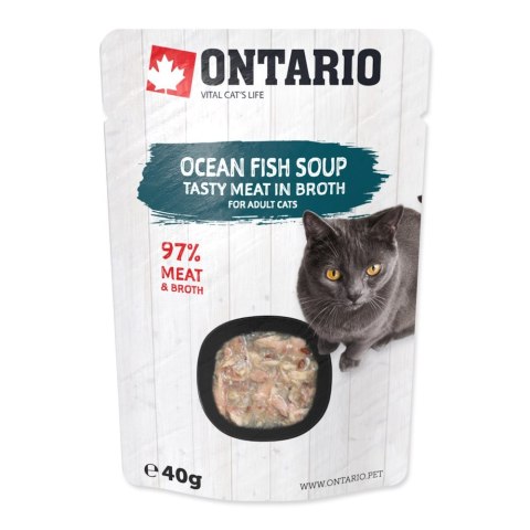 ONTARIO Cat Soup Ocean Fish with vegetables 40g (213-3174)