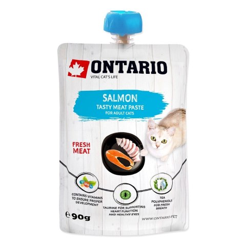 ONTARIO Salmon Fresh Meat Paste 90g (213-52713)