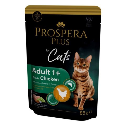 PROSPERA Plus Saszetka Adult 1+, Kurczak, Fasola 85g (1513-10103)