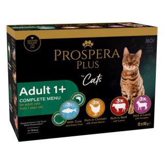 PROSPERA Plus Saszetka dla dorosłych 1+, 12x 85g (1513-10111)