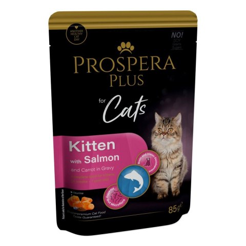 PROSPERA Plus Saszetka dla kociąt, łosoś, marchew 85g (1513-10100)