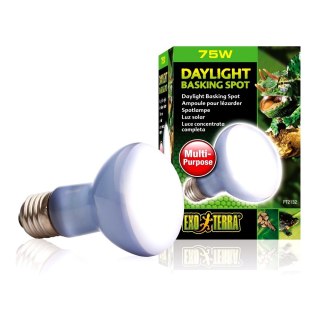 EXOTERRA Żarówka Daylight Basking Spot R20/75W (PT2132)