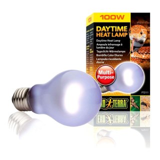 EXOTERRA Żarówka Daytime Heat A19/60W (PT2110)