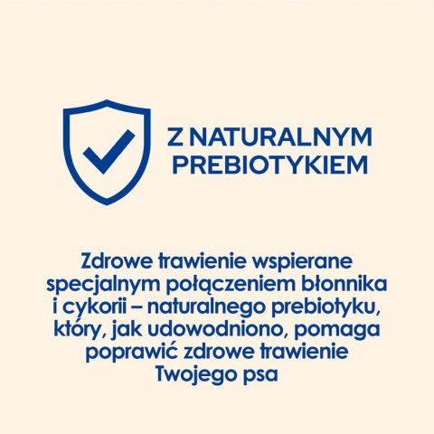 Purina Dog Chow Adult Z Kurczakiem 14kg Purina Dog Chow