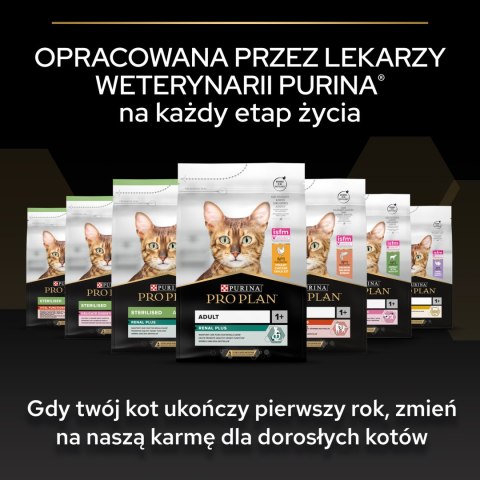 Purina Pro Plan Original Kitten Kurczak Z Ryżem 10kg Purina Pro Plan