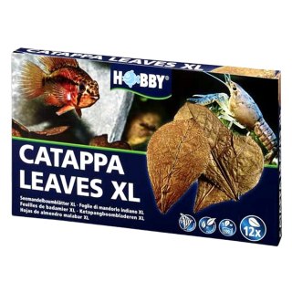 HOBBY Liście Catappa XL 12 szt (51105)
