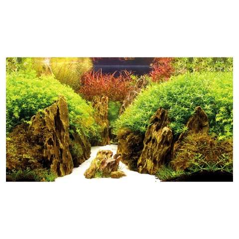 HOBBY Tło do akwarium, Canyon/Woodland 120 x 50 cm (31022)