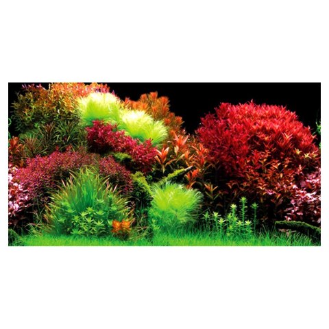 HOBBY Tło do akwarium, Ocean 100 x 50 cm (31220)