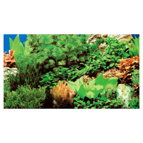 HOBBY Tło do akwarium, Plants 8/Marin Blue 60 x 30 cm (31137)