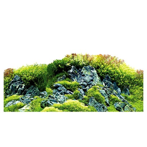 HOBBY Tło do akwarium, Scaping Hill/Scaping Forest 120 x 50 cm (31032)