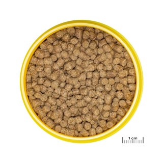 JBL PRONOVO LOTL GRANO M 250ML pokarm dla rybek akwariowych (2077189)